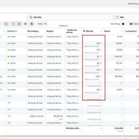 Sales Proof 3 - Campaign Results